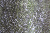 Ludham fibreglass roof work